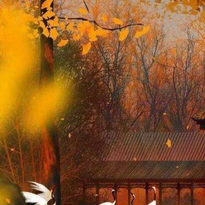 疯神榜果盘手游下载